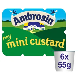 Custard & Condensed Milk