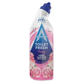 Toilet Cleaners & Rimblocks