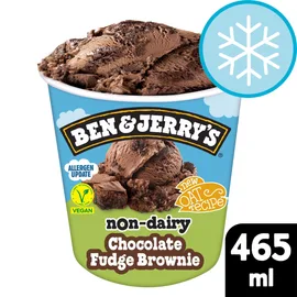 Vegan Ice Cream