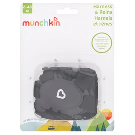 Travel Accessories