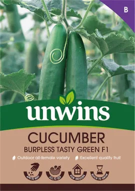 Cucumber