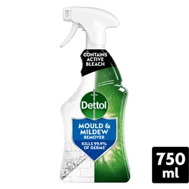 Mould & Mildew Removers