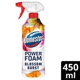 Toilet Cleaners & Rimblocks
