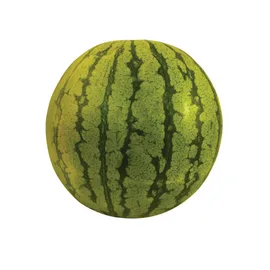 Melon