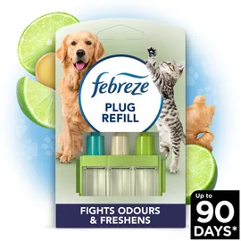Plug Ins & Refills