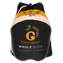 Frozen Duck