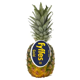 Pineapple