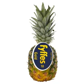 Pineapple
