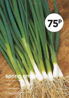Spring Onions