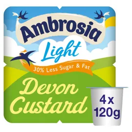 Custard & Condensed Milk