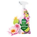 Multipurpose & Antibacterial Cleaners