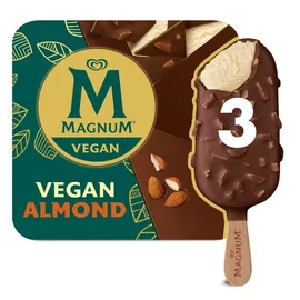 Vegan Ice Cream