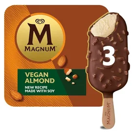 Vegan Ice Cream