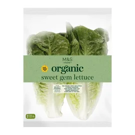 Lettuce