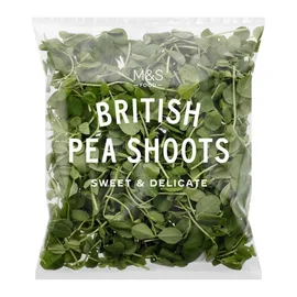 Salad Bags