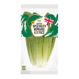 Lettuce