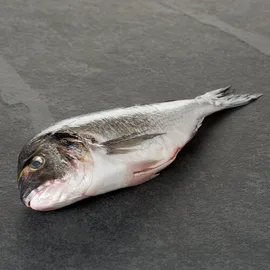 Seabass & Seabream