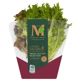 Lettuce