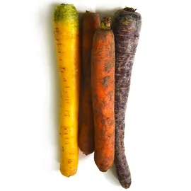Carrots & Root Vegetables