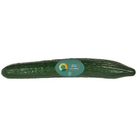 Cucumber
