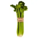 Celery