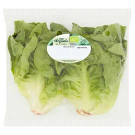 Lettuce