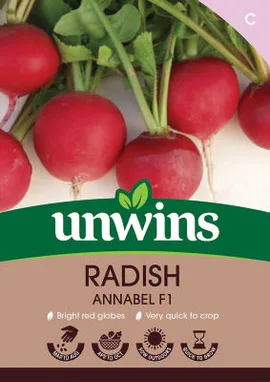 Radish