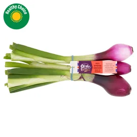 Spring Onions