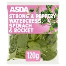 Salad Bags