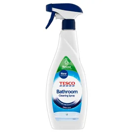 Bathroom Cleaning