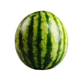 Melon