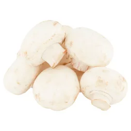 Mushrooms