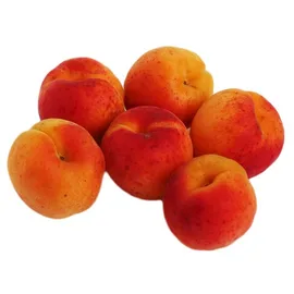 Plums & Apricots