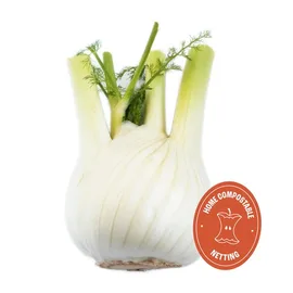 Celery & Fennel