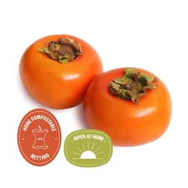 Exotic Fruit