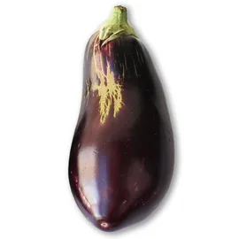 Courgettes & Aubergines