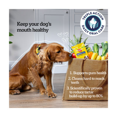 ® DENTASTIX™ Daily Dental Chews Medium Dog Treat 28 Sticks thumbnail 3