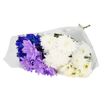 Dyed Chrysanthemums;85463479 thumbnail 3