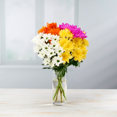 Dyed Chrysanthemums;85463479 thumbnail 4