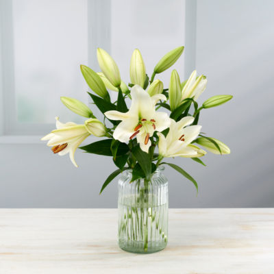 Oriental Lilies thumbnail 2