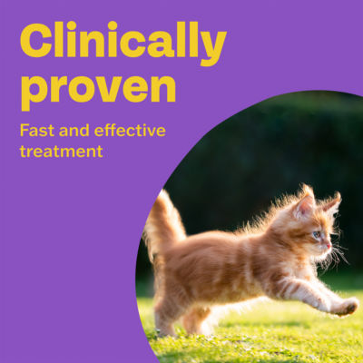 Clear Wormer Treatment for Cats & Kittens Over 12 Weeks Old 2 Tablets thumbnail 3