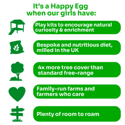 Free Range Eggs 6 Large thumbnail 4
