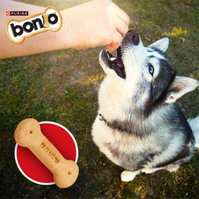 Original Dog Biscuits 650g thumbnail 3
