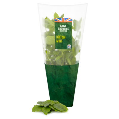 Cool & Refreshing Growing Garden Mint thumbnail 3