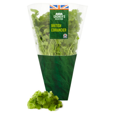 Aromatic & Zesty Growing Coriander thumbnail 3