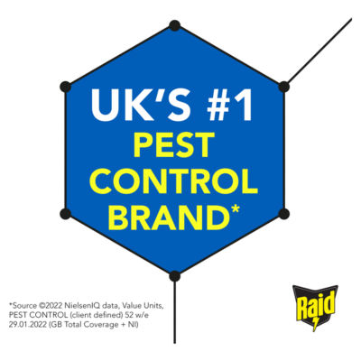 Ant & Insect Killer Powder 250g thumbnail 3