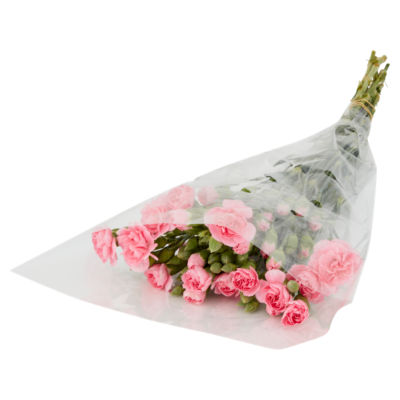 Traditional Spray Carnations thumbnail 3