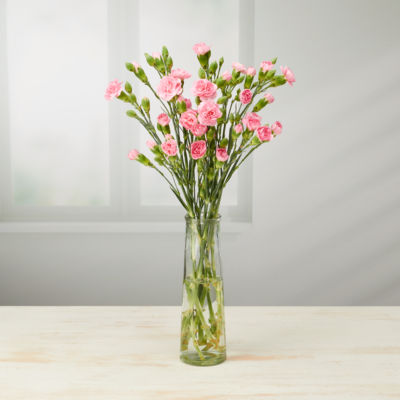 Traditional Spray Carnations thumbnail 4
