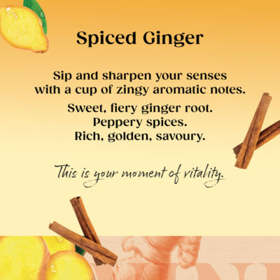 Spiced Ginger 20 Tea Bags 35g thumbnail 4
