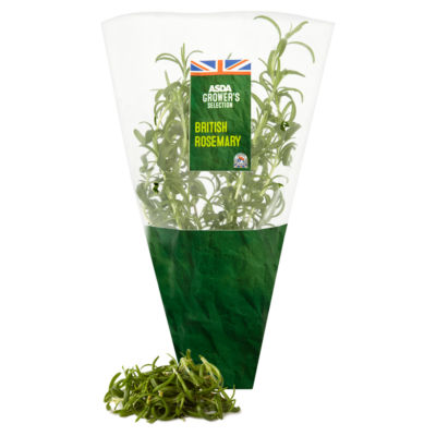 Delightfully Fragrant Growing Rosemary thumbnail 3